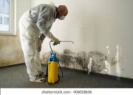 Best Residential Mold Inspection & Testing  in South Uniontown, PA